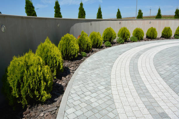 Best Driveway Paving Contractor  in Spring Hope, NC